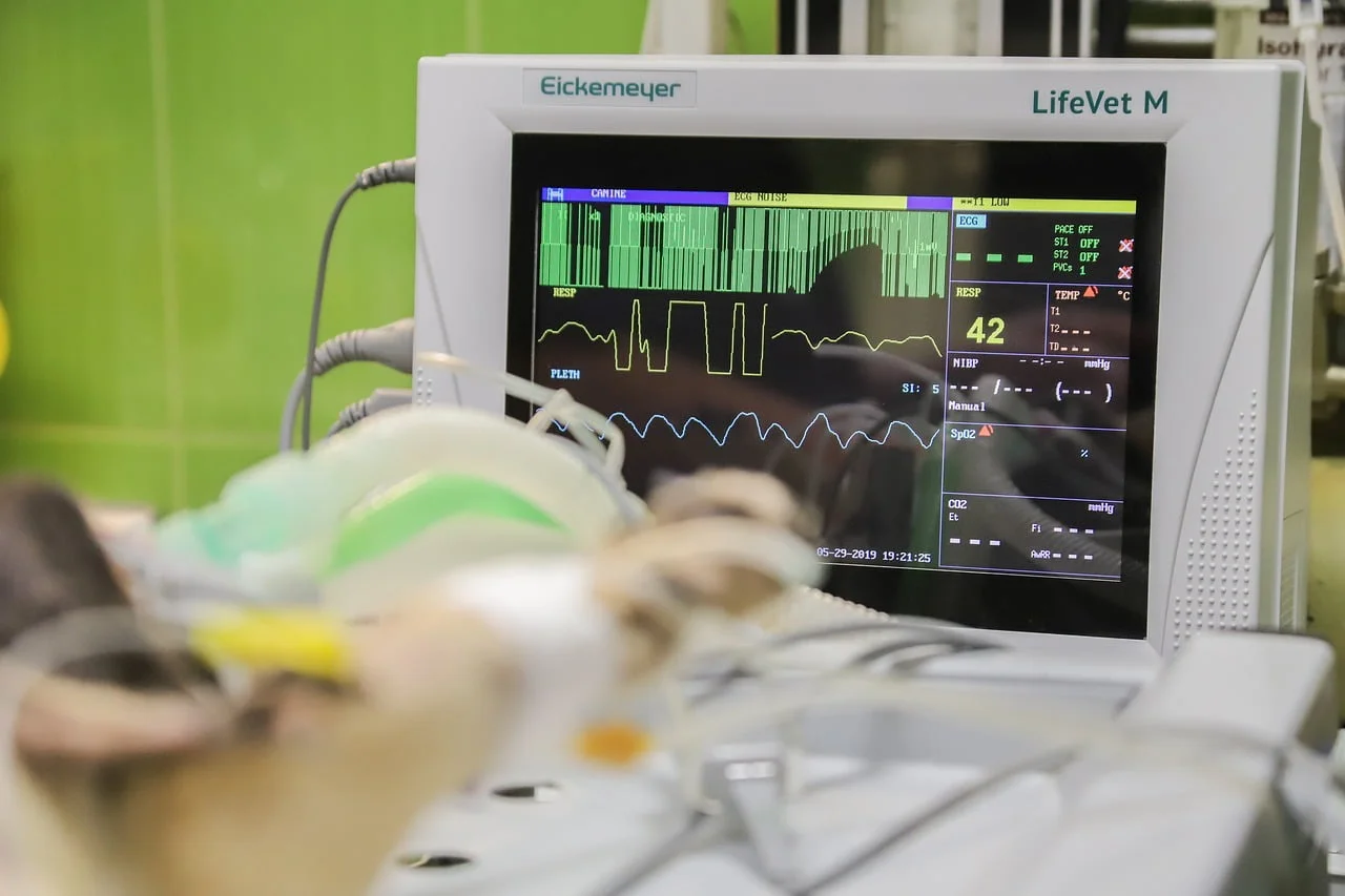 Medicalvet: Vagas de Emprego em Diadema (SP)