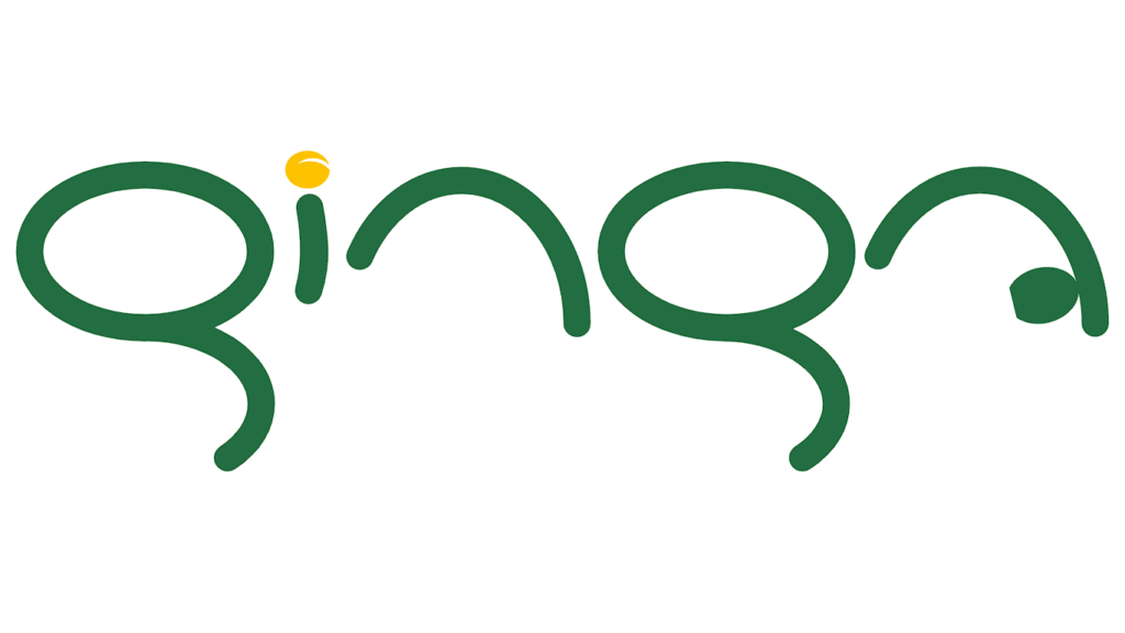 Ginga Soluções