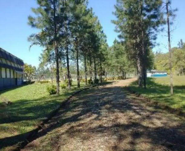 Zuk leiloa clube em SBC por R$ 15 milhões. Foto: Divulgação