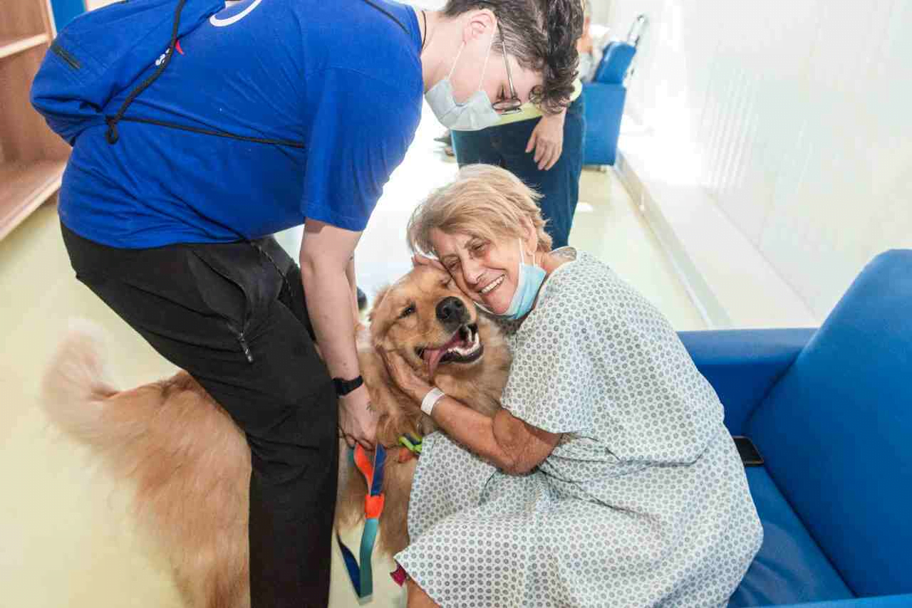 Tratamento humanizado de pet terapia para o Hospital de Urgência