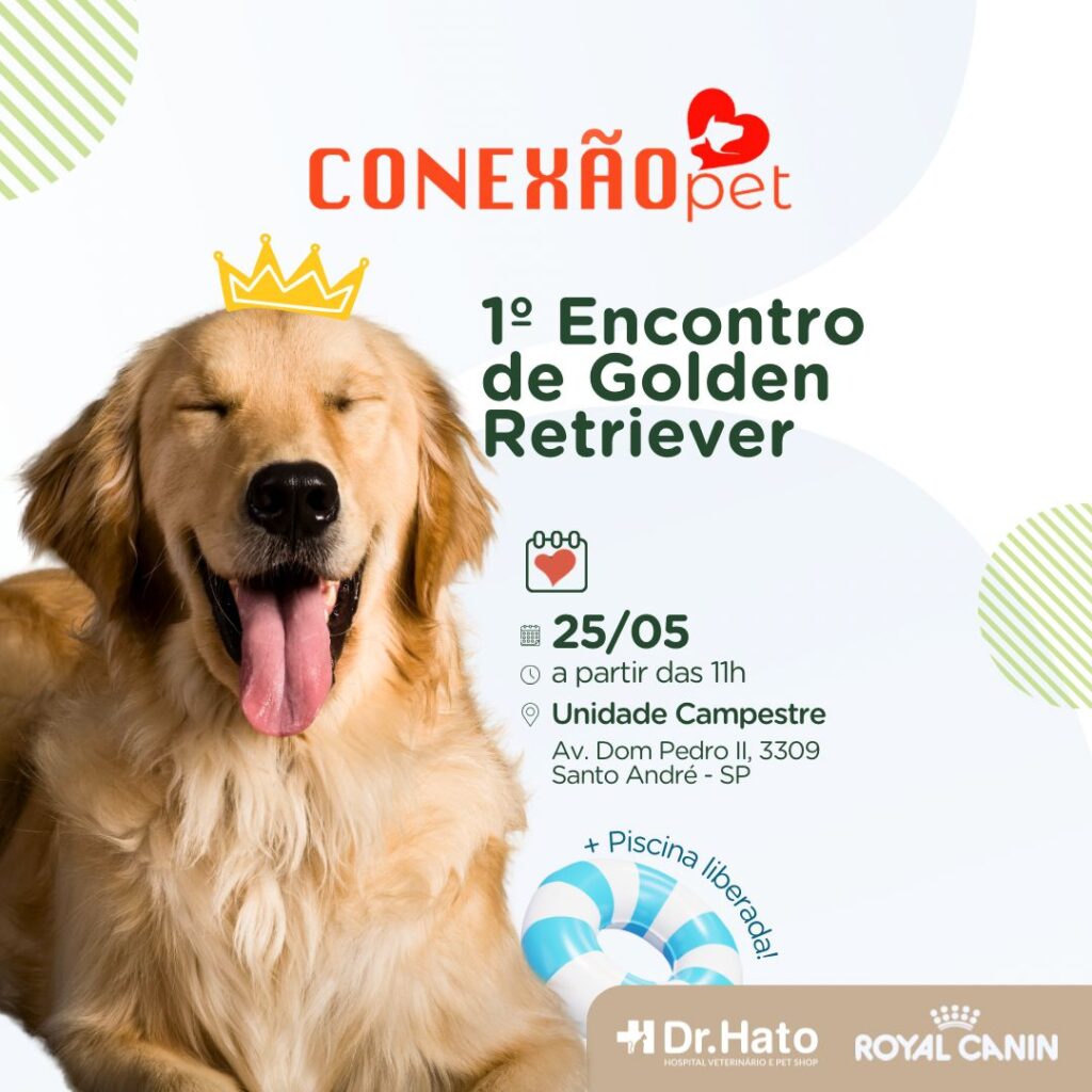 Dr. Hato promove encontro de Golden Retrievers em Santo André. Imagem: Divulgação