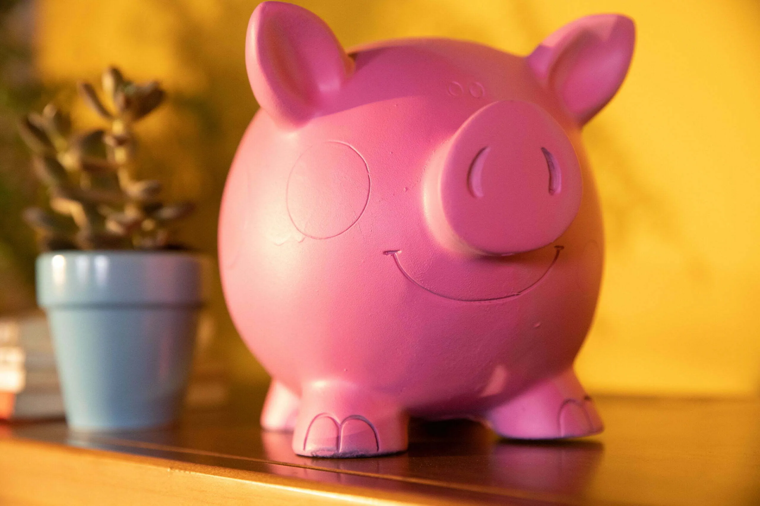 Sesc Digital lança curso gratuito sobre educação financeira, com Amanda Dias