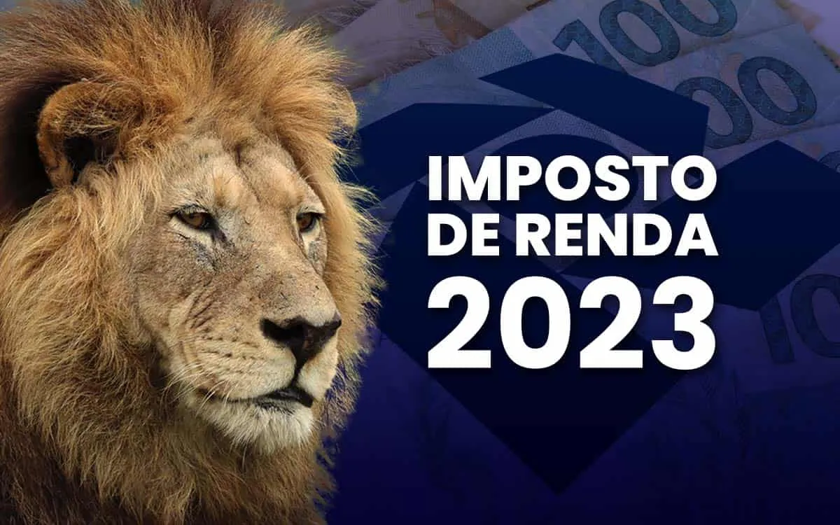Imposto de renda 2023: saiba como evitar a malha fina