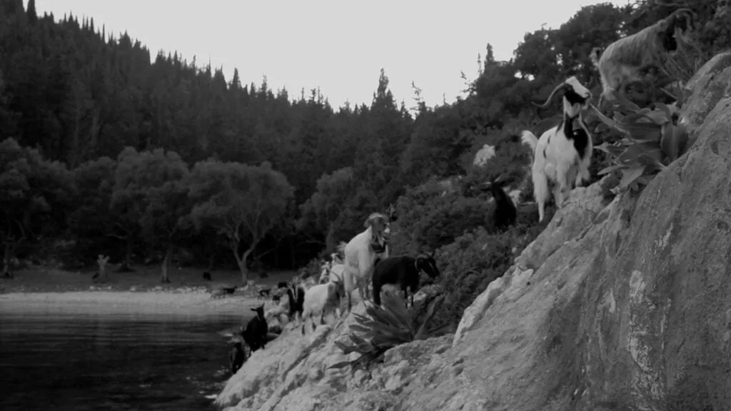 Frame Crepusculo Clemente Bicocchi