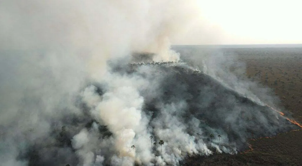 Frame Jungle Fever Takuma Kuikuro