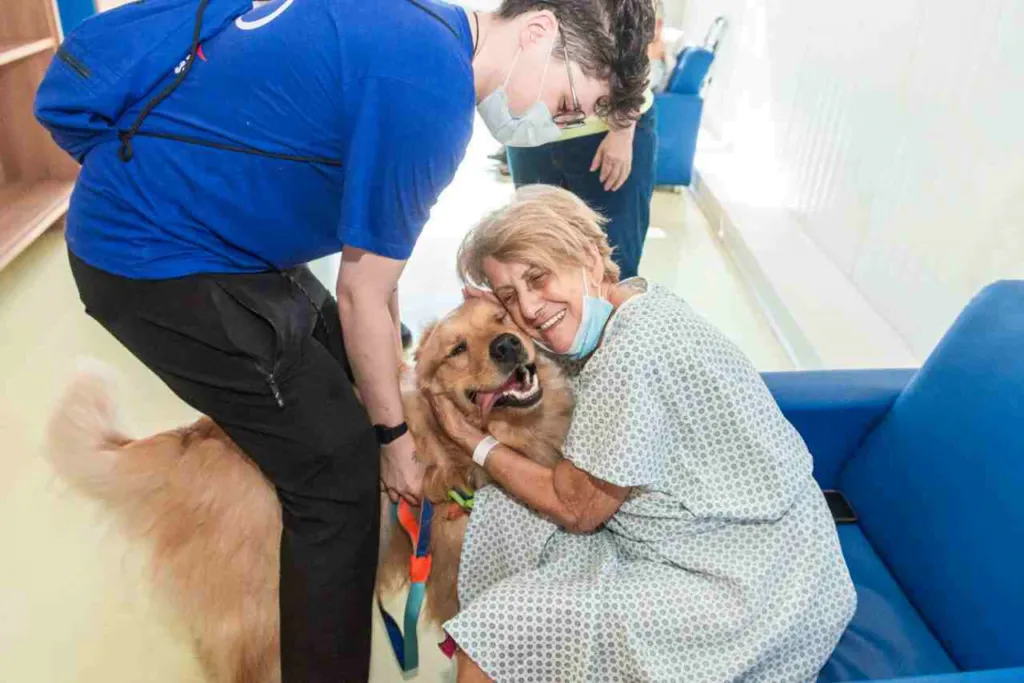 Tratamento humanizado de pet terapia para o Hospital de Urgência. Foto: Prefeitura de São Bernardo do Campo
