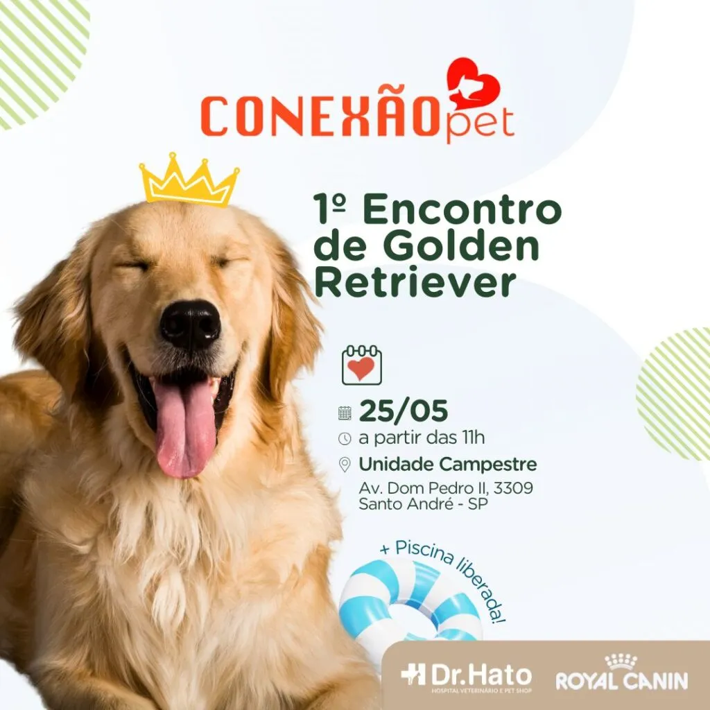 Dr. Hato promove encontro de Golden Retrievers em Santo André. Imagem: Divulgação
