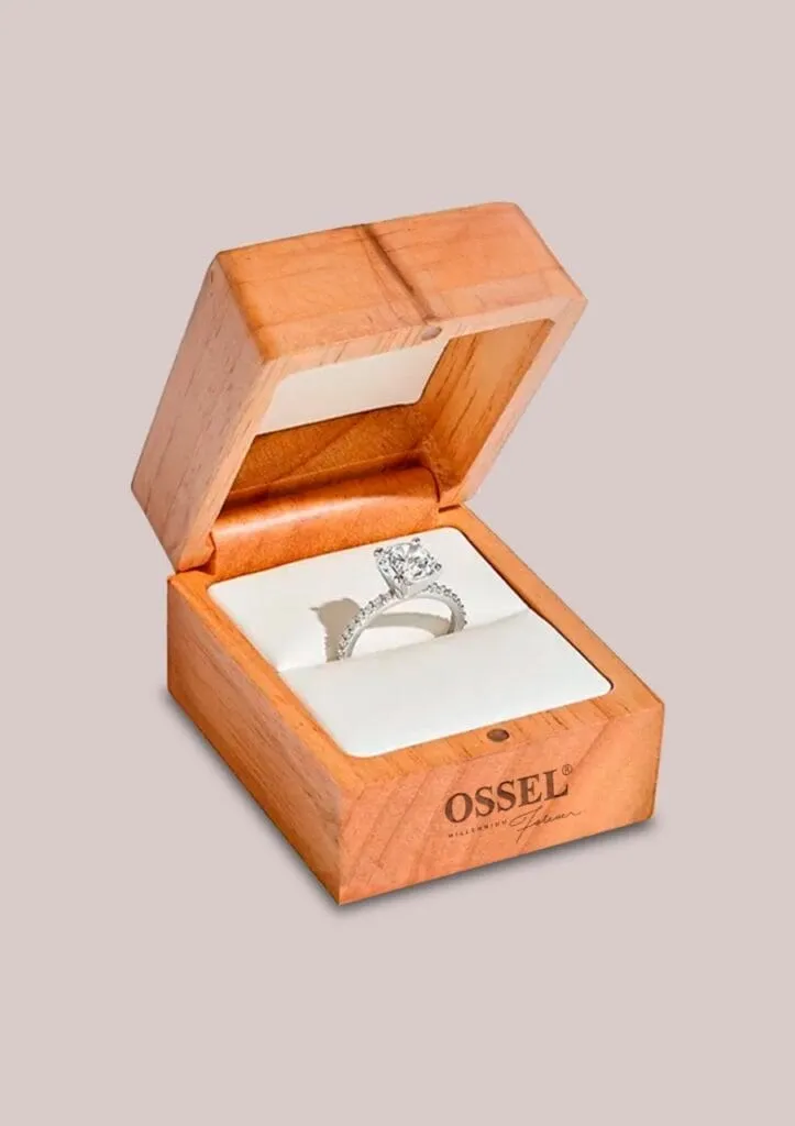 WhatsApp Image 2024 08 02 At 17.11.51 1